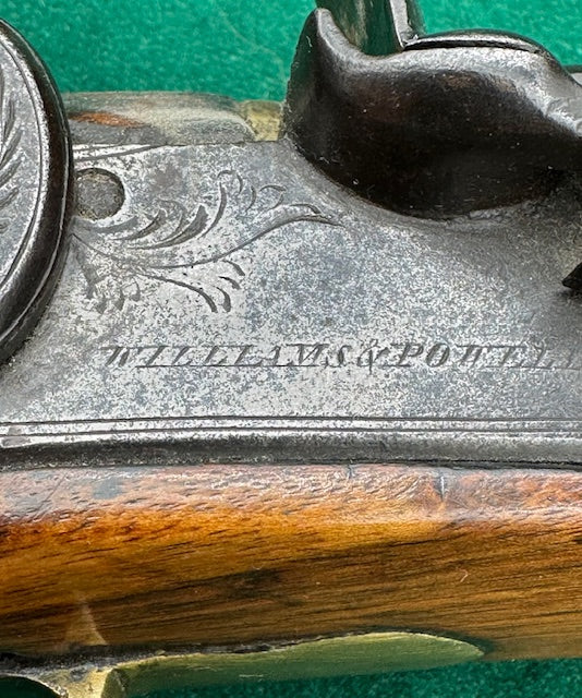Brass Barrelled English Flintlock Blunderbuss By Williams & Powell