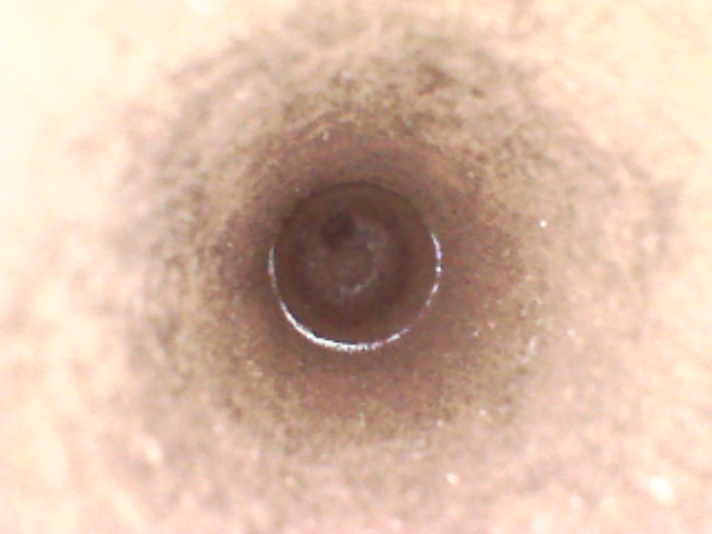 A Large 5 Shot Percussion Cap Transitional Revolver
