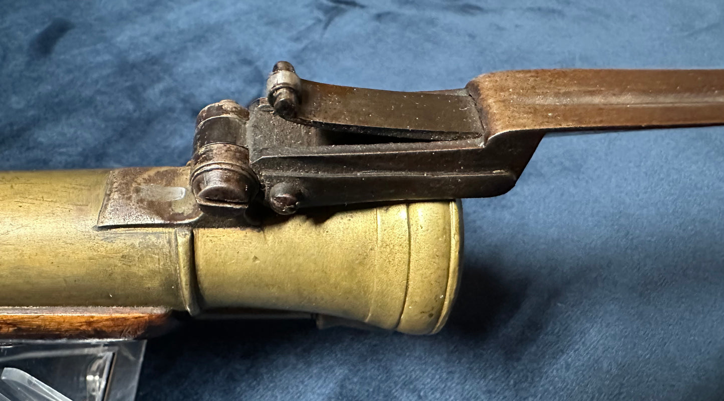 Brass Barrelled Blunderbuss With A Top Mounted Bayonet Converted To Percussion Cap