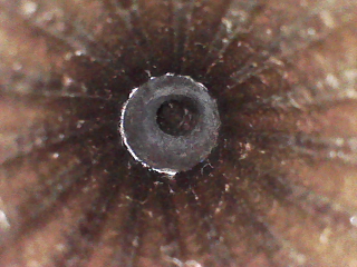 Full Stocked Overcoat Percussion Cap Pistol By J Gilli